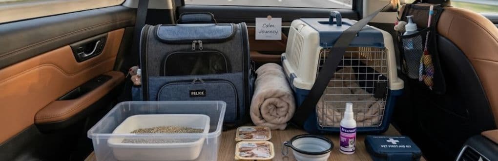Chat en voiture longue distance : guide complet pour un trajet sans stress