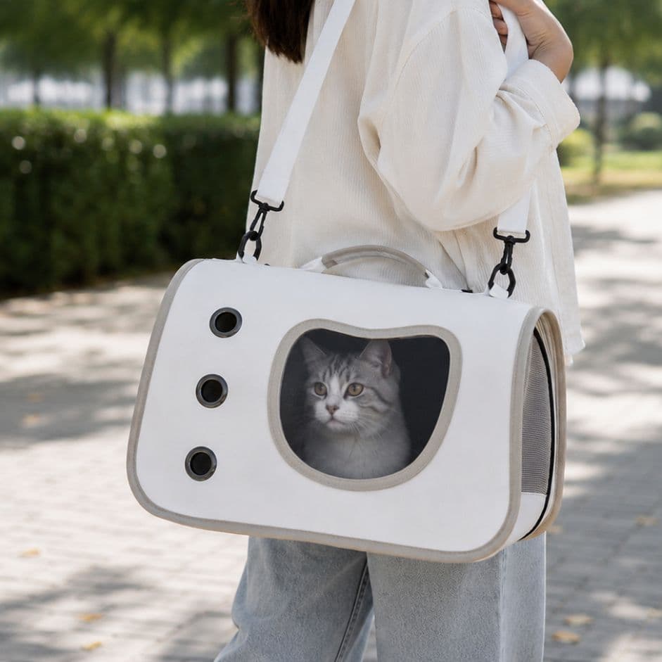 sac de transport avion pour chat
