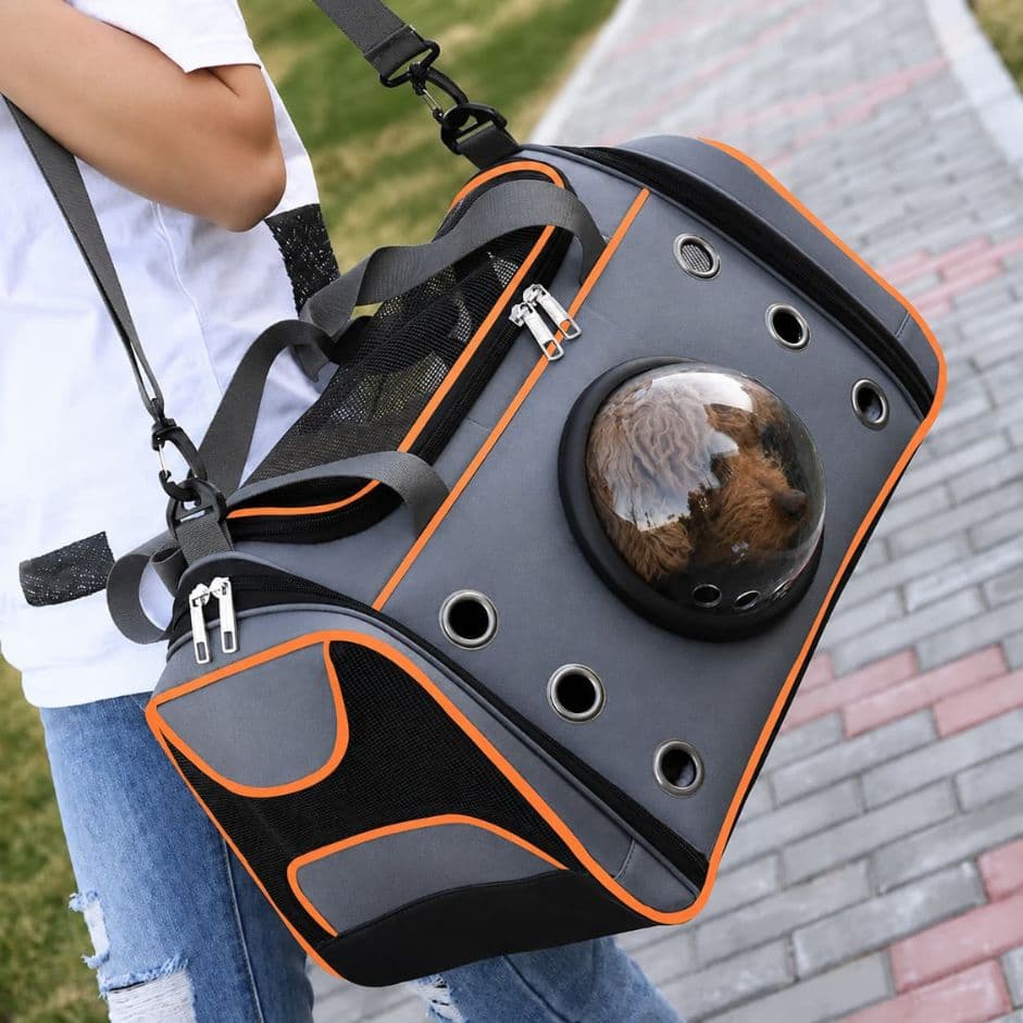sac de transport bulle pour chat