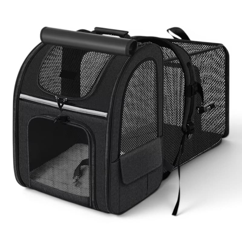 sac a dos pour transporter chat