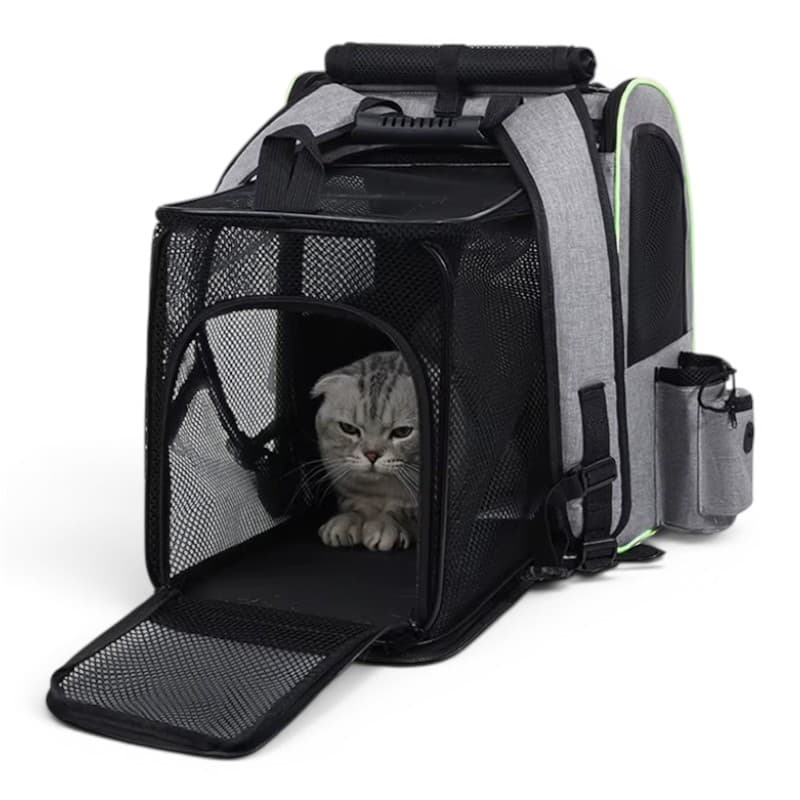 sac a dos pour transporter chat