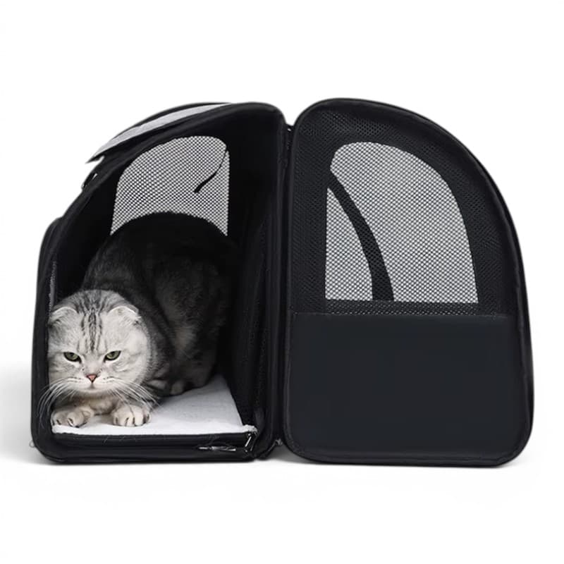 sac a dos pour transporter chat
