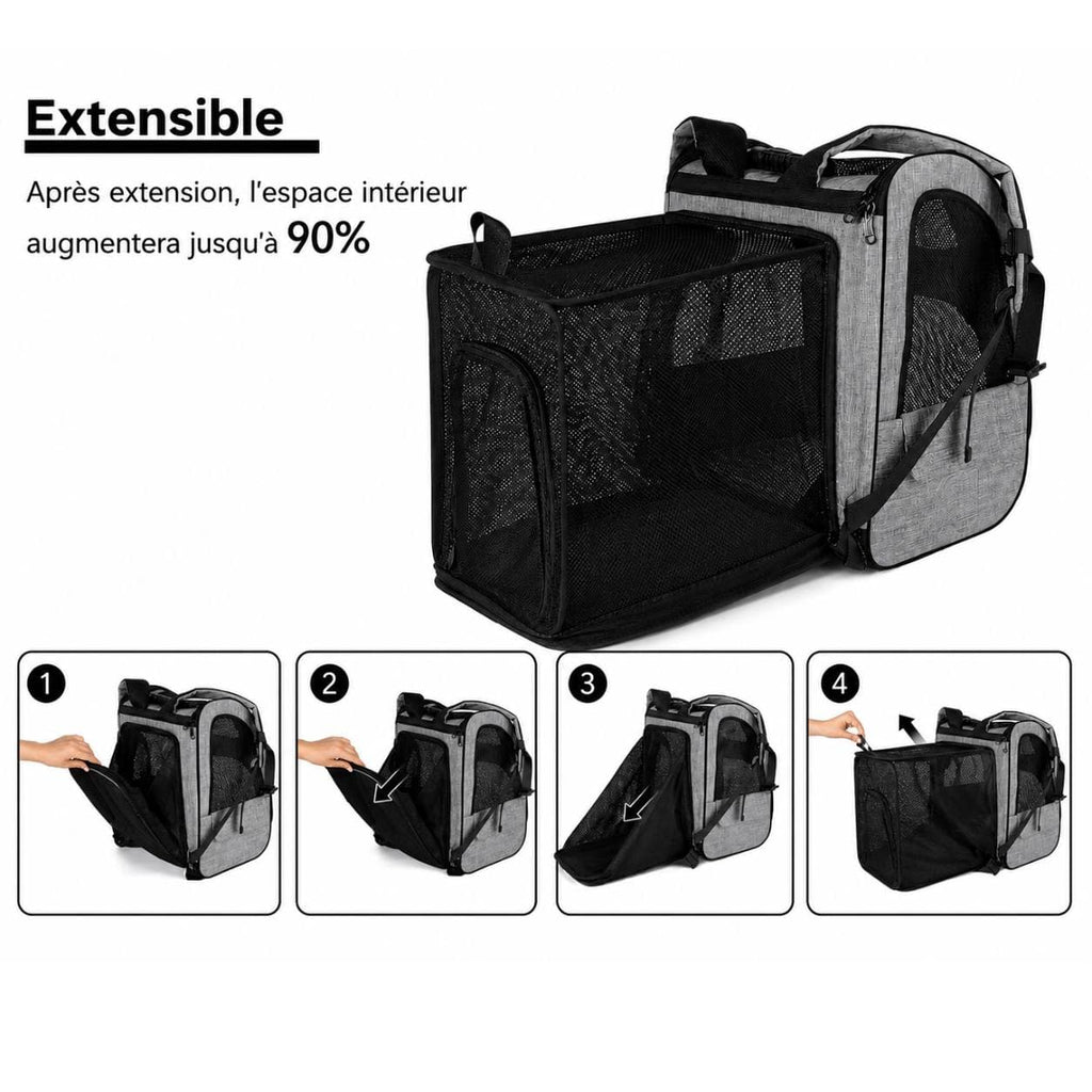 sac a dos pour transporter chat