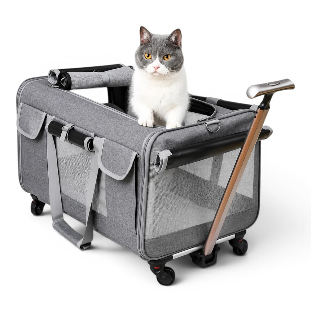 sac de transport chat à roulettes