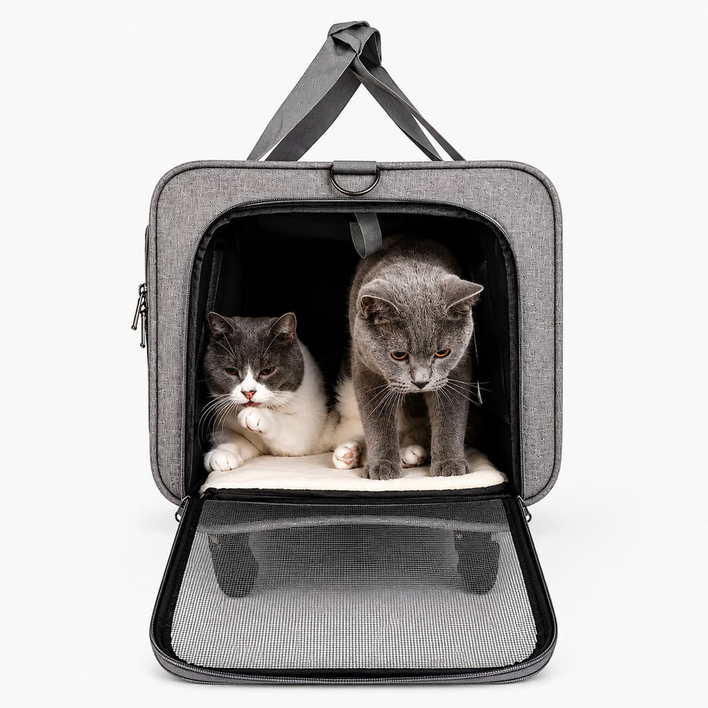 sac de transport chat à roulettes