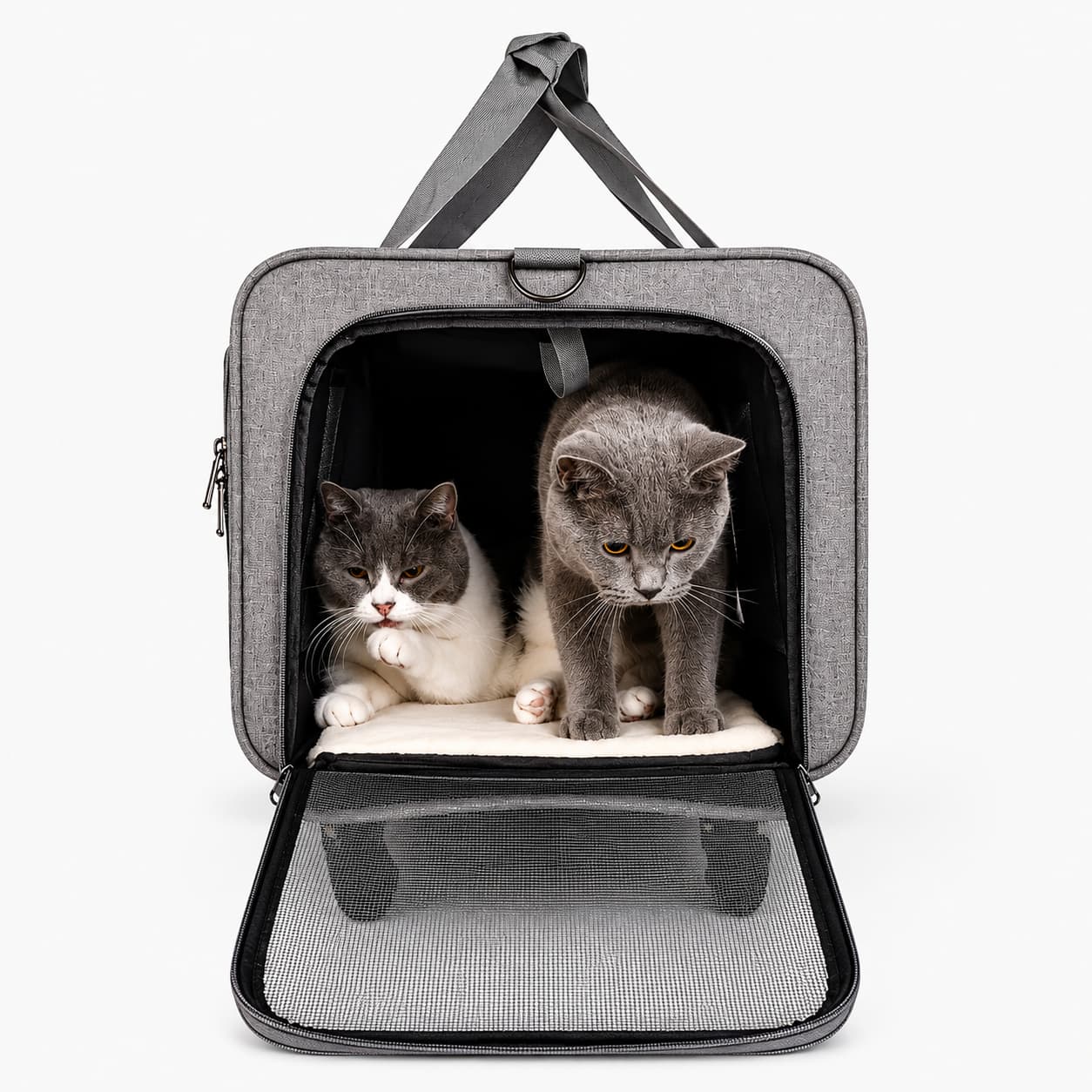 sac de transport chat à roulettes Image