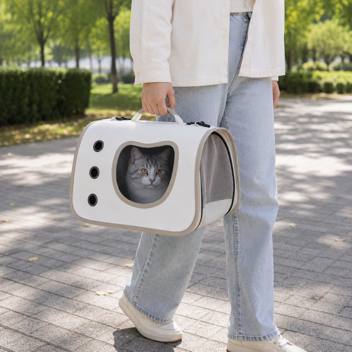 sac de transport avion pour chat