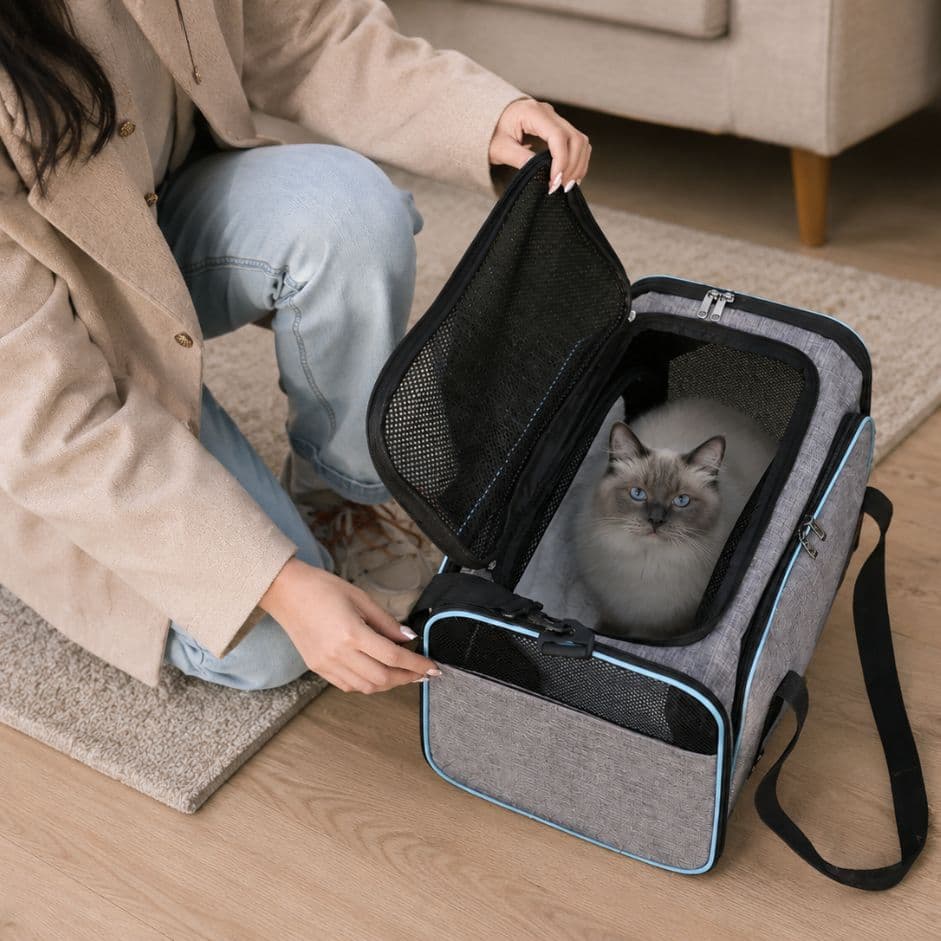 sac pour porter chat