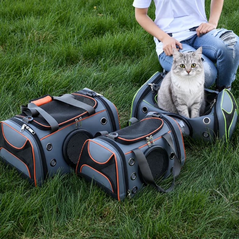 sac de transport bulle pour chat